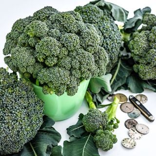 Rasmus Broccoli heads with watch faces and a Swiss knife on a white background.