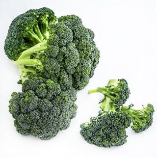 Several heads of Rasmus Broccoli on a bright white background.