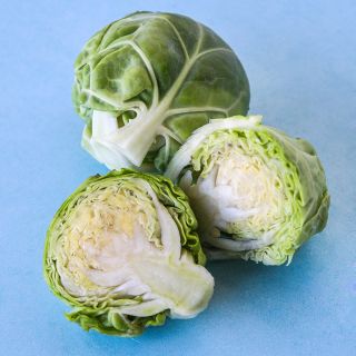 A close-up of cut and whole Long Island Improved Brussels Sprouts on a light blue background.
