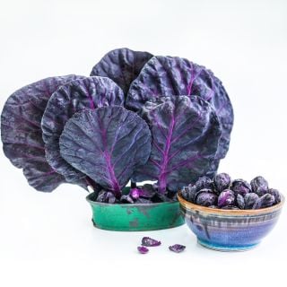 Red Rubine Brussels Sprouts in a ceramic bowl with leaves in an arrangement on a white background.