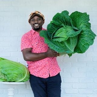 A gardener holding a giant Sapporo Giant #4 Cabbage with another head on a table against white brick.