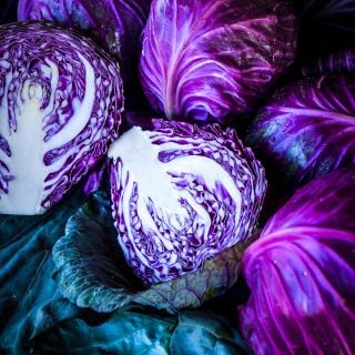 Tete Noire Cabbage heads halved