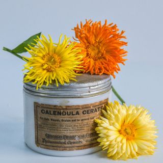 Trio of Porcupine Mix Calendula blooms on old can.