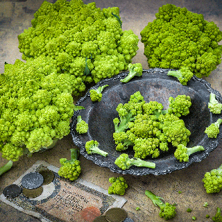 Three heads of the green Romanesco Italia Cauliflower around a silver bowl filled with the florets. 