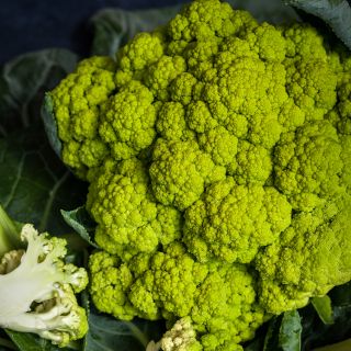 Green Macerata Cauliflower head