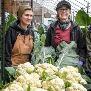 A couple of Baker Creek eployees smile as they pose with a banner crop of Rober Cauliflower heads.