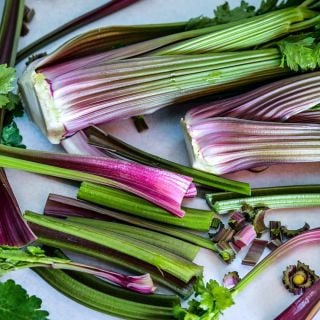 A close-up of cut and whole Giant Red Celery on a light background.