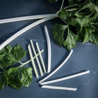 Chinese White Celery individual stalks on blue background.