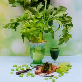 D'Elne Celery in vase with celery juice green bokah background.