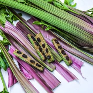 Giant Red Celery with peanut butter and raisins.