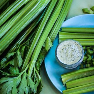 Utah Tall Celery stalks on a blue plate with dip.