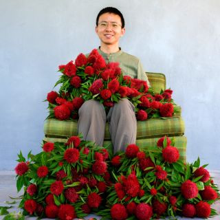 A Baker Creek manager smiles while sitting on a green plaid chair covered in Chinese Wool Flower Celosia.