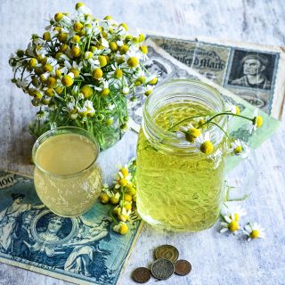German Chamomile tea and kombucha with flowers and vintage German money on a white wooden background.