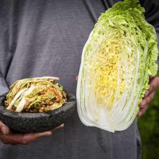 A Hilton Chinese Cabbage head sliced in half with a bowl of kimchi.