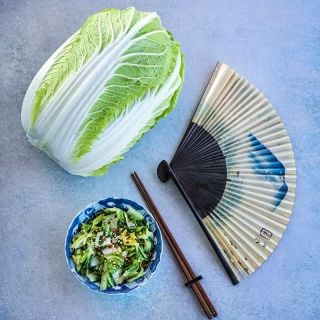 Kyoto #3 Chinese Cabbage with a torn cabbage salad and a fan and chopstocks on a light blue background.