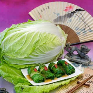 Kyoto #3 Chinese Cabbage with cabbage rolls on a pink background.