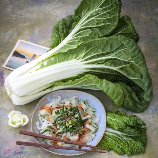 Nagasaki Late Chinese Cabbage with cooked cabbage with hot sauce.