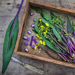 Purple or Chinese Flowering Cabbage Choy Sum in a wooden box with a single leaf.