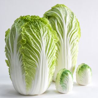 Hilton Chinese Cabbage with baby cabbage shakers.