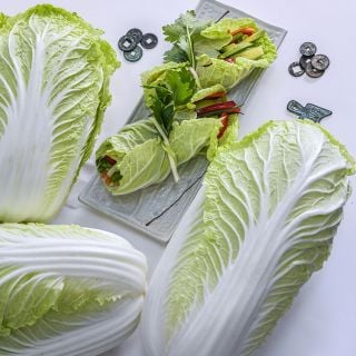 Hilton Chinese Cabbage with cabbage rolls.