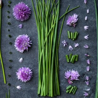 Common Chives with flowers and chopped chives arranged on dark plate.