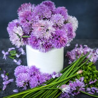 A bouquet of Common Chive flowers in a white vase surrounded by chives and flowers on dark background.