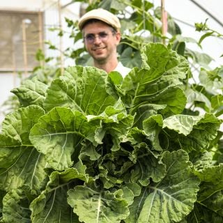 Jere Gettle is holding a giant Georgia Southern Collards head in a greenhouse at Baker Creek.