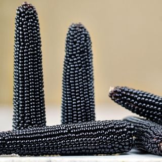 Dakota Black Popcorn arranged on a white marble table.