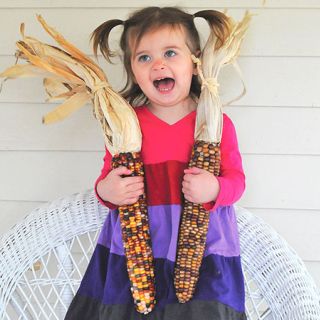 Wade's Giant Indian Corn