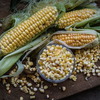 Orchard Baby Corn extracted kernels.