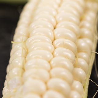 Close-up Art Verrell's Corn.