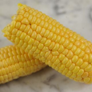 True Gold Corn cobs close-up