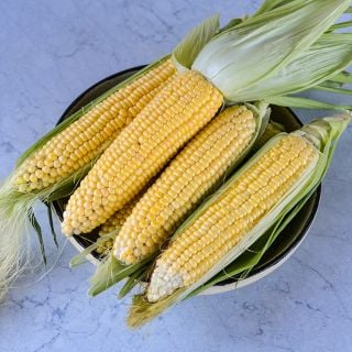 True Gold corn still in husks in bowl.