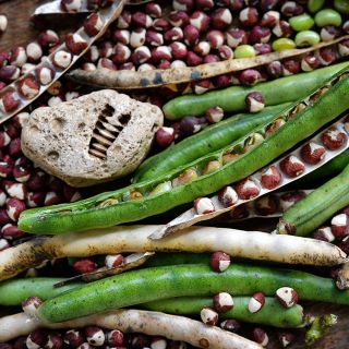 Razorback Cowpeas