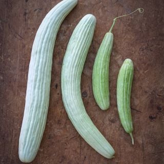 Armenian Yard-Long Cucumber on wooden table top