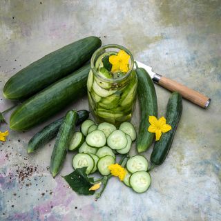 Beit Alpha Cucumber slices pickled.