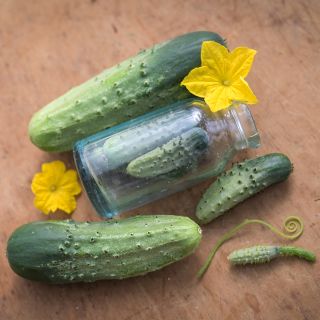 Boston Pickling Cucumbers with jar.