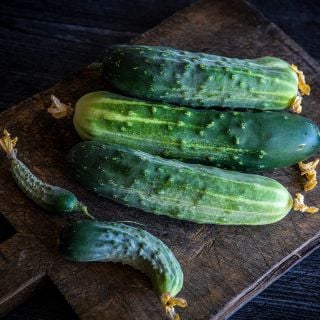Early Fortune Cucumbers on wooden board.