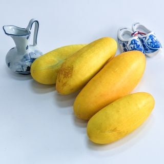 Gele Tros Cucumbers with miniature ceramic Dutch shoes.
