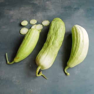 Xylangouro Melon on grey background.