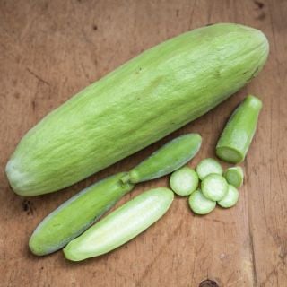 Xylangouro Melon on wooden slab.