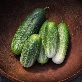 Monika Cucumbers in wooden bowl.