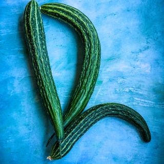 Suyo Long Cucumbers on blue sky like background.
