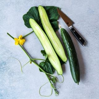 Tokiwa Tokyo Green Cucumber, halved and on grey background.