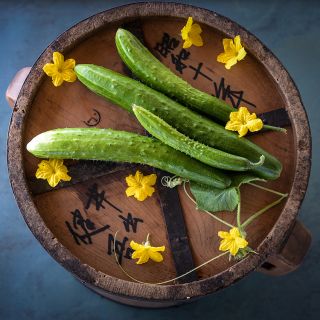 Tokiwa Tokyo Green Cucumbers on wooden tray with blooms.
