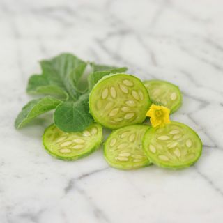 West India Burr Gherkin slices on marble countertop.