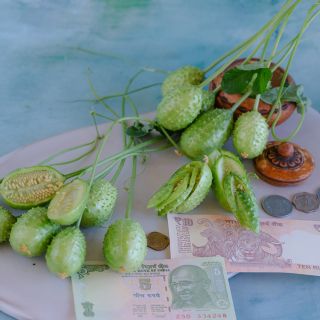 West India Burr Gherkin sliced creatively with coins and India money.