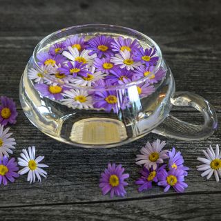 Swan River Mix Daisy flowers floating in glass dish on a wooden background.