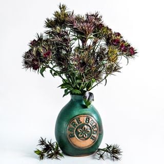 An arrangement of Black Adder Dianthus in a Handmade Stoneware Pottery Vase with a rareseeds logo on it on white.