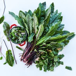 A bundle of Bloody Dock Sorrel surrounded by a salad and chopped and whole leaves on white.